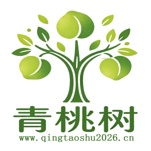 学习平台